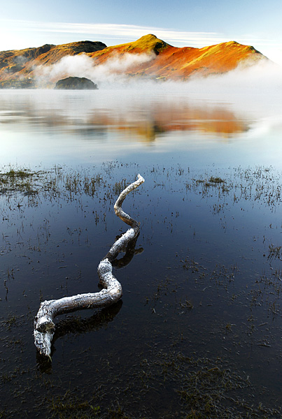 Icy log On Derwent Water With View Of Catbells 